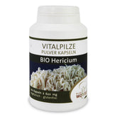 Poudre de champignons Hericium (crinière de lion) sans gluten BIO 100 g - PILZE WOHLRAB
